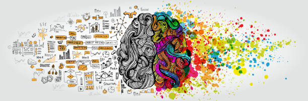 Left right human brain concept. Creative part and logic part with social and business doodle isolated on white background